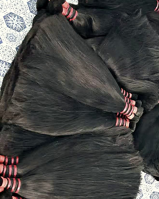 Sorted bundles of Indian human hair laid out by length